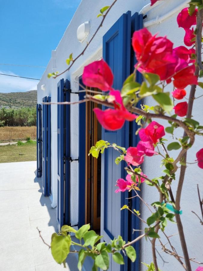 All Season Lovely Seafront Cottage Kissamos Exterior photo